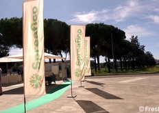 Allestimento per l'inaugurazione.