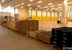 Dentro lo stabilimento trovano posto 12 celle di maturazione da 24 pallet ciascuna, 7 di stoccaggio per 432 pallet, 5 linee di lavorazione 4.0 per il confezionamento, 6 ribalte, 880 mq dedicati ai servizi attivi 24 ore per 7 giorni, con impianti di refrigerazione ad alto efficientamento energetico e un impianto fotovoltaico di ultima generazione.