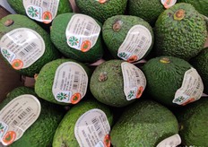 Qui e nelle foto seguenti, alcuni dettagli della visita allo stabilimento.