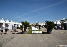 L'area fieristica ha occupato una superficie di 33mila metri quadrati.