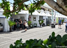 La manifestazione AgriLazio Expo ha potuto godere di un weekend soleggiato, nonostante il periodo di fine settembre.