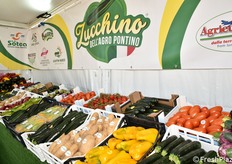 L'agro pontino è uno dei comprensori ortofrutticoli italiani di maggior rilievo, come ben rappresentato dallo stand congiunto di diverse associazioni orticole locali.