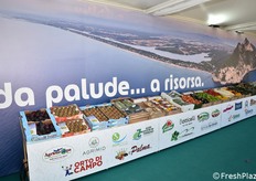 Un tempo terra paludosa, da decenni ormai l'agro pontino è uno degli "orti d'Italia".