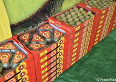 Attraenti vassoi di kiwi impilati presso lo stand Agrilepidio. Oltre che socia del Consorzio Kiwi Passion, Agrilepidio è anche concessionaria del marchio di kiwi giallo Jingold.