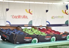 Esposizione di frutta presso lo stand Sanifrutta-JoinFruit.