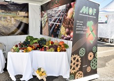 Lo stand del Mercato ortofrutticolo di Fondi (MOF).