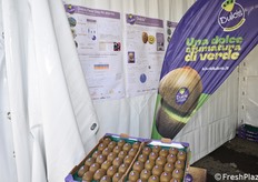 Dettaglio del kiwi Dulcis presso lo stand Orogel.