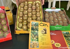 La novità di kiwi giallo in esposizione presso lo stand CAM.