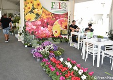 Una vista all'interno del padiglione floricolo.