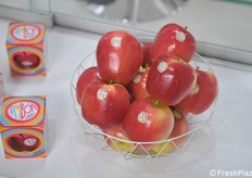 Il segmento supersweet è quello che interessa al mercato e Samboa rientra perfettamente in questa categoria.