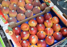 Esempi di pesche e nettarine tardive