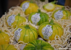 Novità a marchio Miss Freschezza: lo zucchiolo, frutto di una collaborazione con l'azienda sementiera che detiene marchio e varietà. "Siamo i primi in Italia a testare e commercializzare questo prodotto".