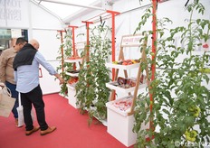 Una serra posizionata nell'area centrale fra i padiglioni, all'aperto