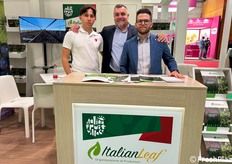 Giuseppe Adinolfi, Carlo Fantoni e Vassallo Raffaele nello stand di Op Italianleaf