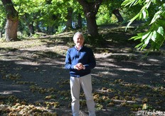 Renzo Panzacchi, presidente del Consorzio Castanicoltori dell'Appennino Bolognese
