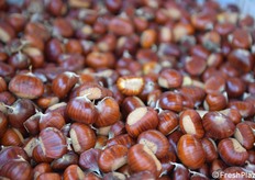 Una bella immagine di marroni