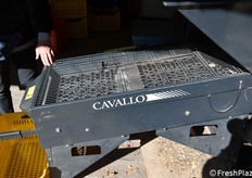 Un agevolatore per la selezione