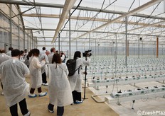 Visitatori in una delle nuove serre (28.000 m² totali), dette "all'olandese" per la tecnologia adottata.
