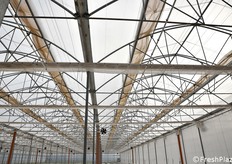 Il sistema di ombreggiamento che, d'estate, crea ombra e, d'inverno, evita la dispersione del calore verso l'alto, garantendo risparmio economico. Inoltre, la struttura è in grado di recuperare anche la condensa di acqua con apposite grondaie.