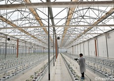 Il sistema di fertilizzazione è a circuito chiuso, dove l'acqua rilasciata dalle piante viene riciclata quasi al 100% per ridurre l'impatto ambientale e lo spreco.