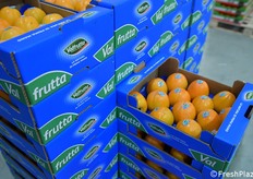 Prodotto pronto per la spedizione