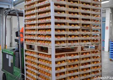 Pedana di kaki a marchio PAF