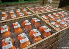 Prodotto a marchio Valfrutta