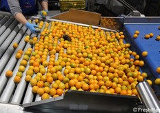 Viene eliminato il "più evidente". Un lavoro cui prevalentemente si dedicano le donne.