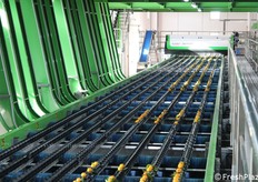 Il cuore del processo: la calibratura ottica. Una "macchina intelligente" dotata di uno scanner a fibra ottica analizza ogni singolo frutto mentre scorre sulla linea. Lo scanner raccoglie dati precisi basandosi su tre criteri fondamentali, senza mai danneggiare il prodotto. La frutta viene selezionata per colore, qualità (interna ed esterna) e diametro/calibro.