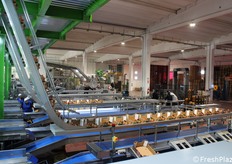 Il sistema è programmato per creare diverse classi di calibro (ad esempio, dal 5 fino all'1x) per soddisfare le esigenze specifiche dei diversi clienti e mercati internazionali.