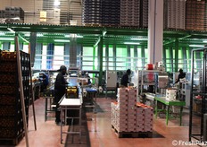 Le possibilità di confezionamento sono diverse. Ad esempio, prodotto sfuso in cassette e cartone con copertina.