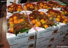 Cassette di clementine Comune, in cartone, su cui è incollata una copertina di rete estrusa+film.