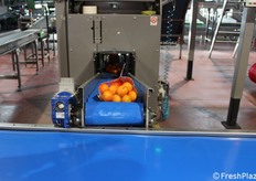 La destinazione finale di un frutto dipende spesso dalla sua dimensione. I calibri 2 e 3 sono destinati principalmente all'Italia, quelli dall'1 al 3 alla Germania, mentre i calibri più piccoli ai Paesi dell'Est Europa.