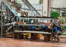 Le retine vengono poi sistemate manualmente nelle cassette.