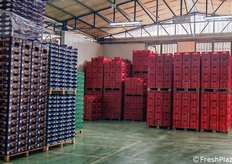 Stoccaggio merce grezza dell'azienda.