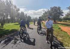 Tour tra agrumeti e uliveti, perché il Clementina Festival è anche territorio e valorizzazione.