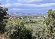 Panorami difficili da dimenticare.