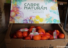 Con profonde radici storiche, un ruolo pionieristico nell'agricoltura biologica e biodinamica e una struttura cooperativa unica, l'azienda rappresenta un modello di eccellenza nel panorama agricolo italiano.