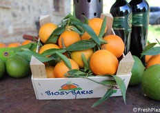 Con il marchio BioSybaris il Gruppo Minisci commercializza clementine certificate IGP di Calabria, frutta e ortaggi coltivati tutti col metodo dell'agricoltura biologica per mantenerne integre tutte le caratteristiche organolettiche e i valori nutrizionali.