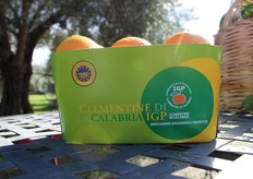 Le Clementine della Piana di Sibari, con il loro gusto rinfrescante e le proprietà diuretiche, sono ricche di zuccheri e caratterizzate da un colore rosso intenso. Sono celebrate per la loro unicità e sono apprezzate in tutto il mondo. La loro origine geografica è valorizzata e protetta da un marchio europeo (IGP – Indicazione Geografica Protetta), un simbolo che ne certifica l’autenticità e la provenienza dalla Calabria.