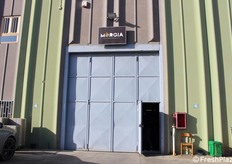 L'ultima visita aziendale è stata quella alla Cooperativa Morgia, società agricola calabrese che si occupa di coltivare, raccogliere e mettere in vendita agrumi, drupacee e altra frutta.