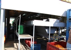 Successivamente avviene una seconda selezione manuale, e anche in questo caso i frutti scartati vengono destinati alla trasformazione in succo.