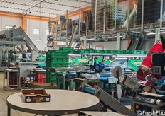 Successivamente, il prodotto viene lavato, asciugato e avviato alla linea di selezione automatizzata. Qui, una macchina calibratrice suddivide i frutti in sei diversi calibri, in base a parametri oggettivi come diametro, peso e colore, preparandoli per il confezionamento secondo le specifiche richieste dal cliente.