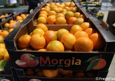 Cassette di clementine a marchio Morgia. La cooperativa lavora anche su private label per alcune catene della GDO.