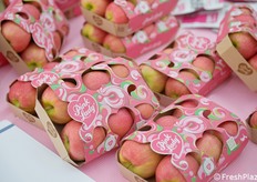 Adotta un albero di Pink Lady: l'iniziativa conclusiva del 2025 si è svolta sabato 8 novembre prezzo l'azienda Baccarini a Faenza (Ravenna). Oltre 200 gli intervenuti, da tutto il centro-nord d'Italia, con i bambini e ragazzini protagonisti. A coordinare l'evento sul campo Granfutta Zani e SG Marketing (fotoservizio Cristiano Riciputi)