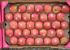 Una cassetta con alveolo