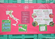 I numeri di Pink Lady, un marchio globale