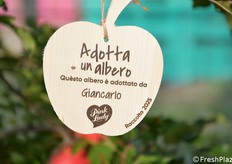 Ogni bambino e ragazzino aveva un albero di riferimento adottato, dal quale fare la raccolta