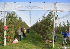 Anche il sole ha accompagnato gli "agricoltori per un giorno"
