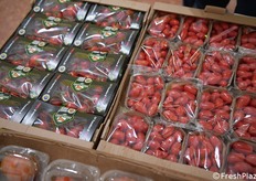 Altre tipologie di pomodori